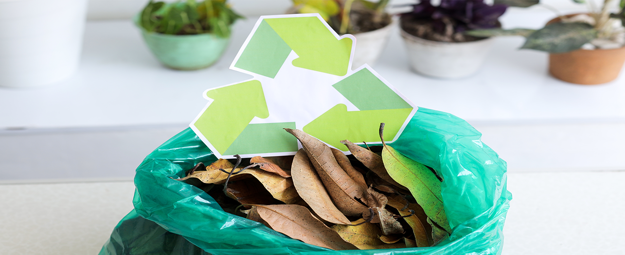 Green bag filled with dry leaves and recycling symbol Green bag filled with dry leaves and recycling symbol